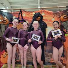 Image result for Central Manchester Institute Of Gymnastics