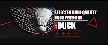 Image result for Linton Badminton Furies Badminton Club