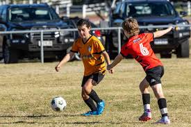 Image result for Warwick Wolves