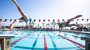 Image result for Aztec Divers