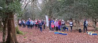 Image result for Wimborne Orienteers
