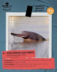 Image result for massacre golfinhos dinamarca