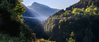 Image result for PONT DE SINGE