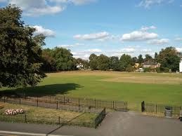 Image result for Mitcham Cricket Club