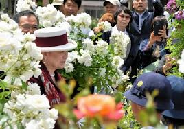 「大江信子」の画像検索結果