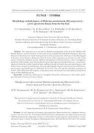 Attēlu rezultāti vaicājumam “Diderma ochraceum sessile”