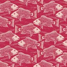 Image result for Lutjanus campechanus