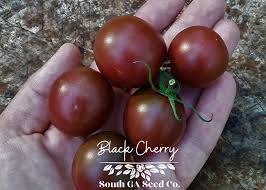 Afbeeldingsresultaat voor black cherry tomato