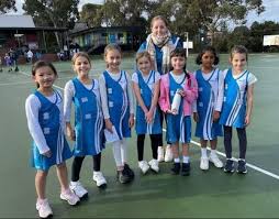 Image result for Fetcham Netball Club
