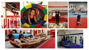 Image result for Tamworth Olympic Gymnastics Club