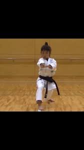 Image result for Caversham Karate Club SSKA