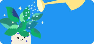 Image result for Alonsoa linearis