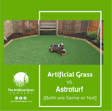 Image result for Astroturf