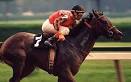 Get Yo Jockey On in Champion Jockey Kinect | GameFront