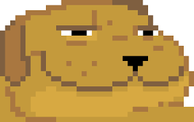 Smug Dog