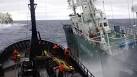 Anti-whaling ship Bob Barker, rammed, hull breached | Perth Now