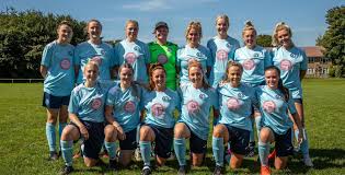 Image result for Caerbryn Association Football Club