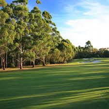 Image result for Avondale Gc