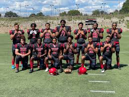 Image result for Reading Knights