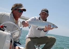 Image result for Albula glossodonta