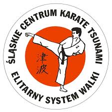 Image result for Tsunami Karate Club