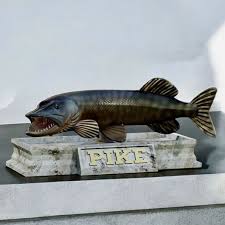 Attēlu rezultāti vaicājumam “Esox lucius”