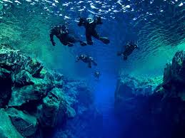 Image result for World Divers
