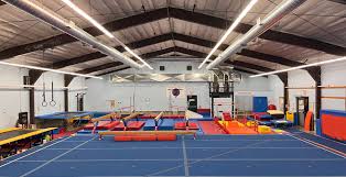 Image result for Harlequin Gymnastics Club