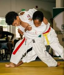 Image result for Redbridge Judo Club