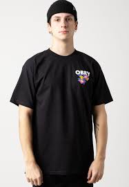 Image result for +obey +gravity t-shirt