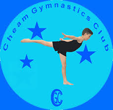 Image result for Cheam Trampoline Club