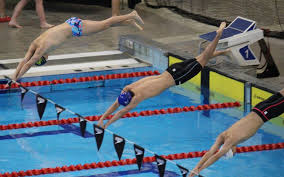 Image result for Pinehurst Netball Club