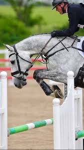 Image result for Jp-Sheffield Eventing