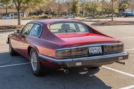 Image result for Flamenco 1993 Jaguar