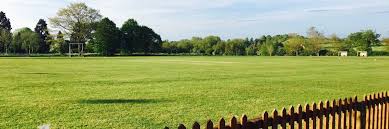 Image result for Henley Cricket Club