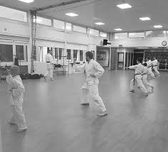 Image result for kyokujitsu Kai