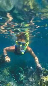 Image result for Seaham Sub Aqua Club
