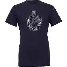 Image result for Millom Cricket Club