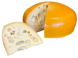 Image result for maasdammer