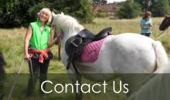 Image result for Palmers Riding Stables