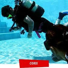 Image result for Manta Divers Sub-Aqua Club