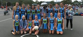 Image result for Wombles Netball Club
