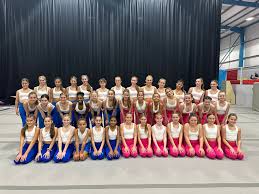 Image result for Aylesbury Gymnastics Club