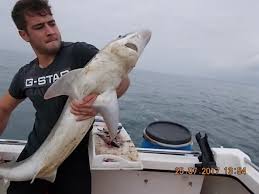 Image result for Diggle Angling Club