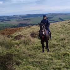 Image result for Scottish Equi Complex