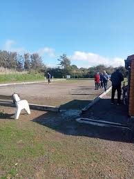 Image result for Worthing Petanque Club
