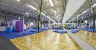 Image result for Team 101 Parkour Club