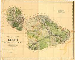 「VHAPUNI　MAO」の画像検索結果