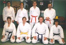 Image result for Sandokai Karate