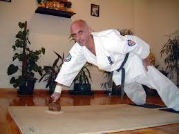 Image result for Mickleham Seiki Juku Karate Club